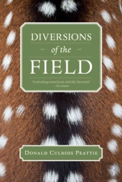 Diversions Of The Field