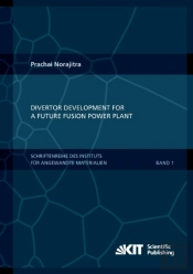 Divertor Development For A Future Fusion Power Plant