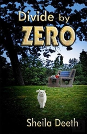Divide By Zero