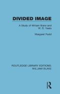 Divided Image