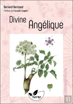 Bertrand.pt - Divine Angélique