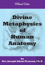 Divine Metaphysics Of Human Anatomy