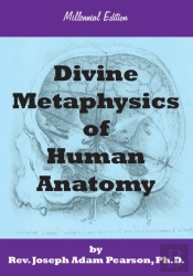 Divine Metaphysics Of Human Anatomy