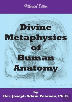 Bertrand.pt - Divine Metaphysics Of Human Anatomy