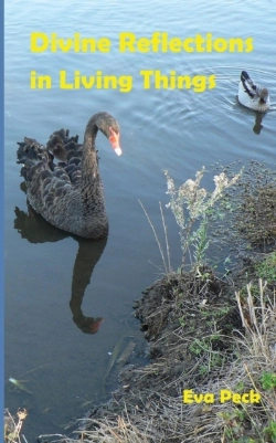 Bertrand.pt - Divine Reflections In Living Things
