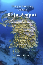 Diving & Snorkeling Guide To Raja Ampat & Northeast Indonesia