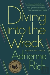 Diving Into The Wreck