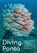 Diving Ponta