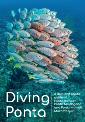 Diving Ponta