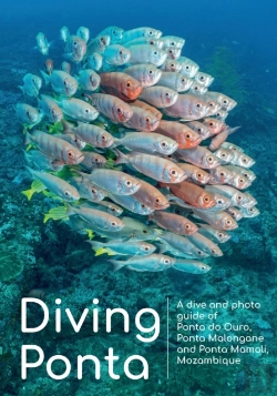 Bertrand.pt - Diving Ponta