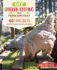 Diy Chicken Keeping From Fresh Eggs Daily