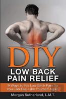 Diy Low Back Pain Relief