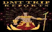 Dmt Trip Reports - Experience What It'S Like Taking 5 Meo Dimethyltrptamine
