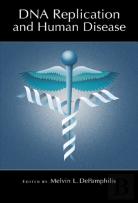 Dna Replication And Human Disease