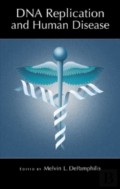 Dna Replication And Human Disease