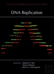 Dna Replication