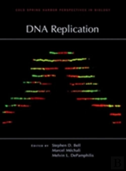 Bertrand.pt - Dna Replication