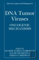 Dna Tumor Viruses