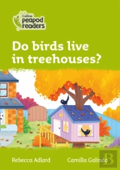 Do Birds Live In Treehouses?