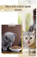 Do Cats Chew ThãÂµIr Food