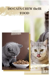 Do Cats Chew ThãÂµIr Food