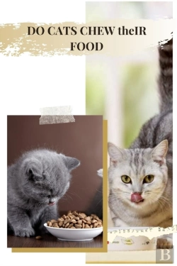 Bertrand.pt - Do Cats Chew ThãÂµIr Food