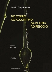 Do Corpo ao Algoritmo, da Planta ao Relógio