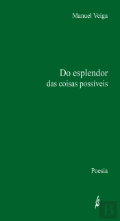 Do Esplendor das Coisas Possíveis 