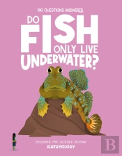 Do Fish Only Live Underwater?