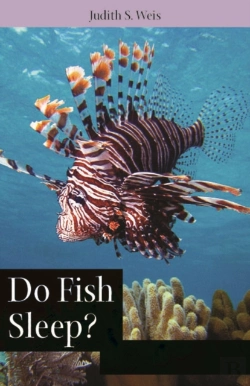 Bertrand.pt - Do Fish Sleep?