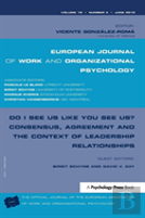 Do I See Us Like You See Us? Consensus, Agreement, And The Context Of Leadership Relationships