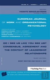 Do I See Us Like You See Us? Consensus, Agreement, And The Context Of Leadership Relationships