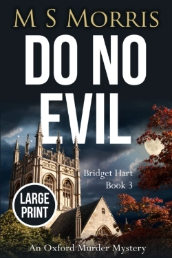 Bertrand.pt - Do No Evil (Large Print)