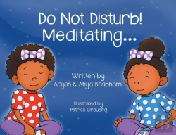 Bertrand.pt - Do Not Disturb! Meditating...