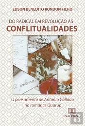 Do Radical Em Revolução Às Conflitualidades