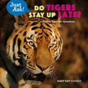 Do Tigers Stay Up Late