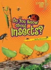 Do You Know About Insects?