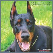 Doberman Pinscher Calendar 2022
