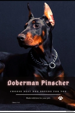 Bertrand.pt - Doberman Pinscher