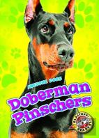 Doberman Pinschers