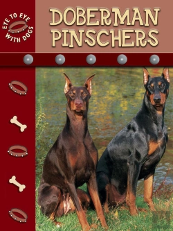 Bertrand.pt - Doberman Pinschers