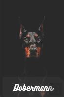 Dobermann