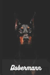 Dobermann
