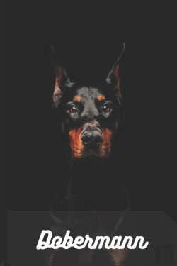 Bertrand.pt - Dobermann