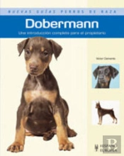 Dobermann