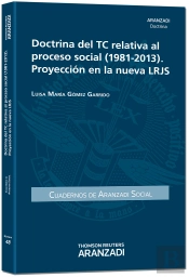 Doctrina Del Tc Relativa Al Proceso Social (1981-2013). Proyección En La Nueva Lrjs