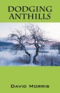 Dodging Anthills