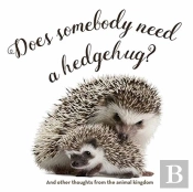Does Somebody Need A Hedgehug?