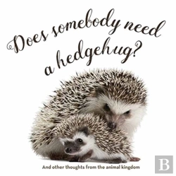 Bertrand.pt - Does Somebody Need A Hedgehug?