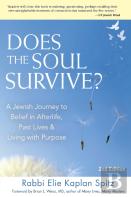 Does The Soul Survive? (2nd Edition)